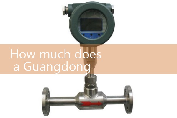 Guangdong steam flowmeter